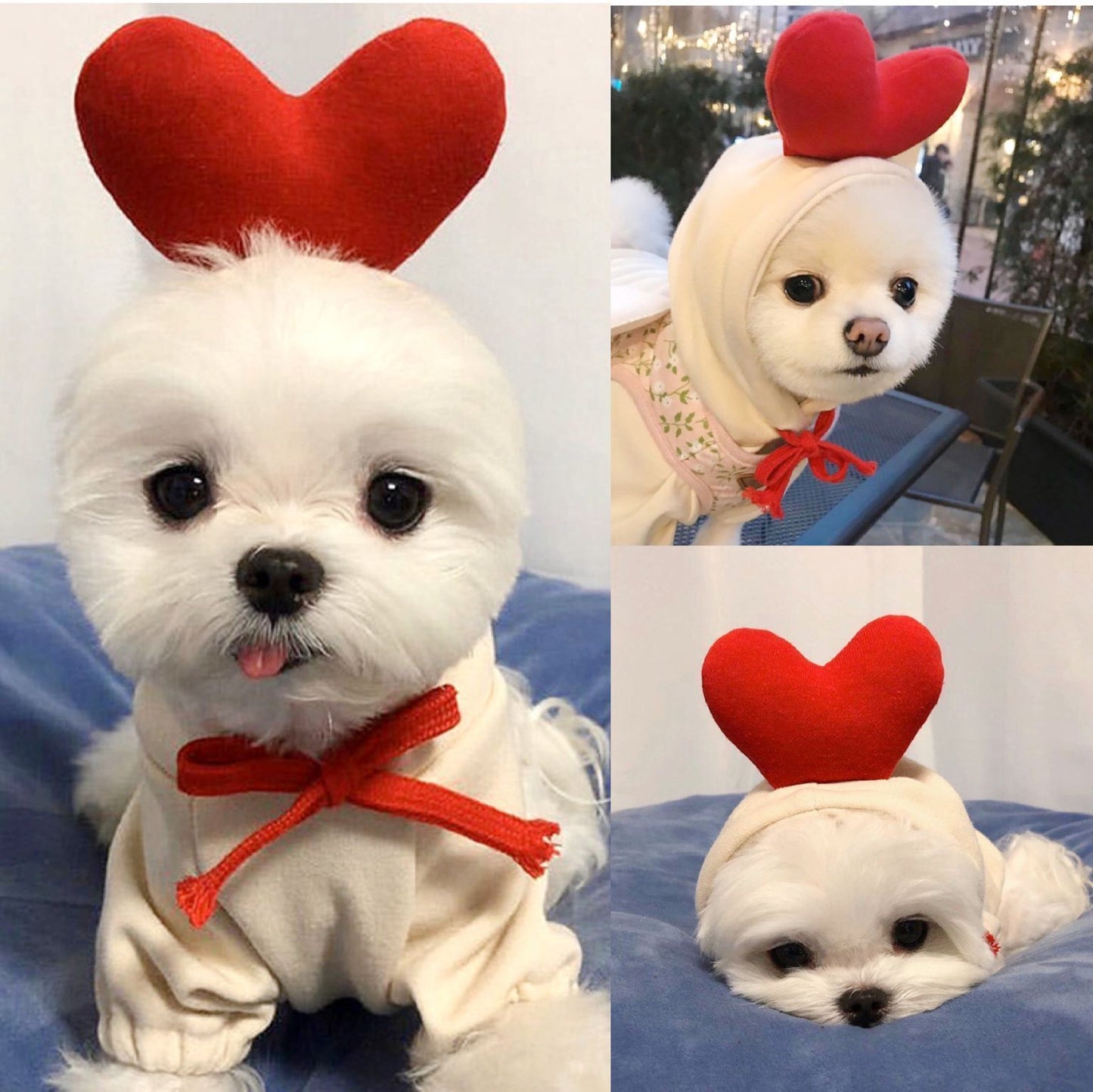 Cozy Fruit Hoodie for Small Dogs & Cats – Winter Fleece Outfit