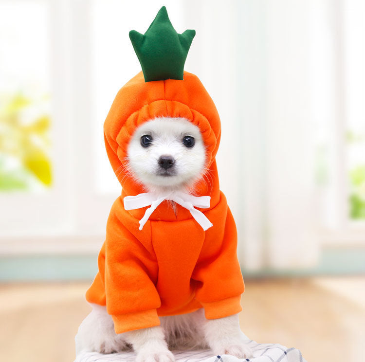 Cozy Fruit Hoodie for Small Dogs & Cats – Winter Fleece Outfit