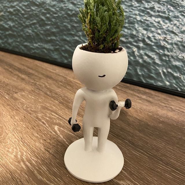 Fitness Villain Resin Plant Pot