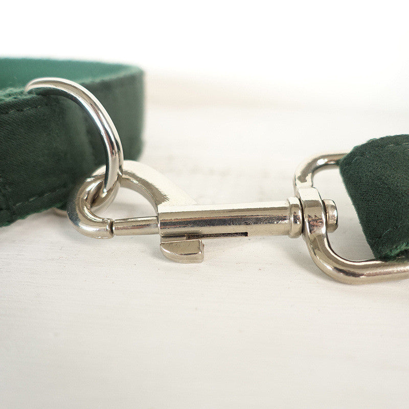 Stylish Pet Collar & Bow Tie With Leash