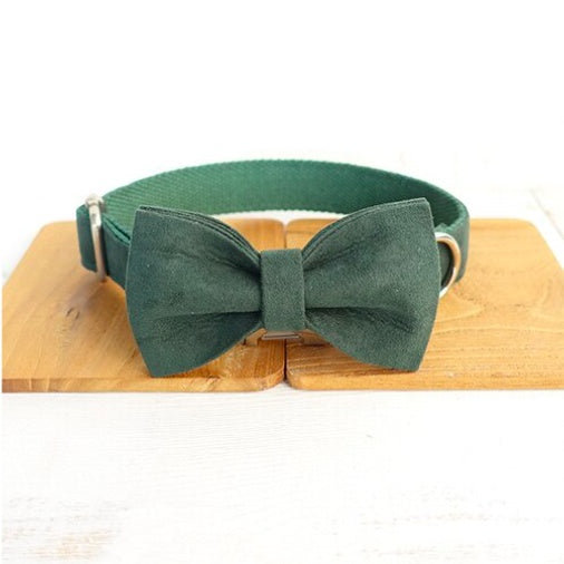 Stylish Pet Collar & Bow Tie With Leash