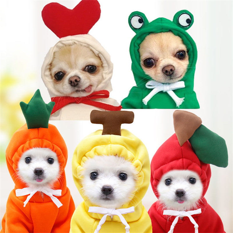 Cozy Fruit Hoodie for Small Dogs & Cats – Winter Fleece Outfit