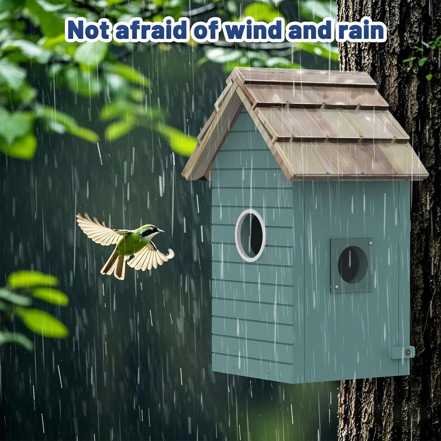 Smart Birdhouse Feeder with Camera