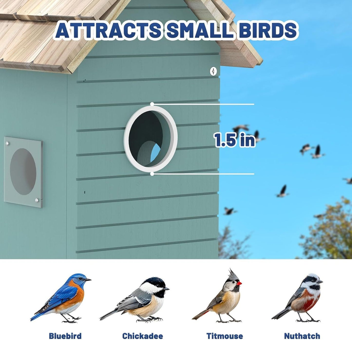 Smart Birdhouse Feeder with Camera