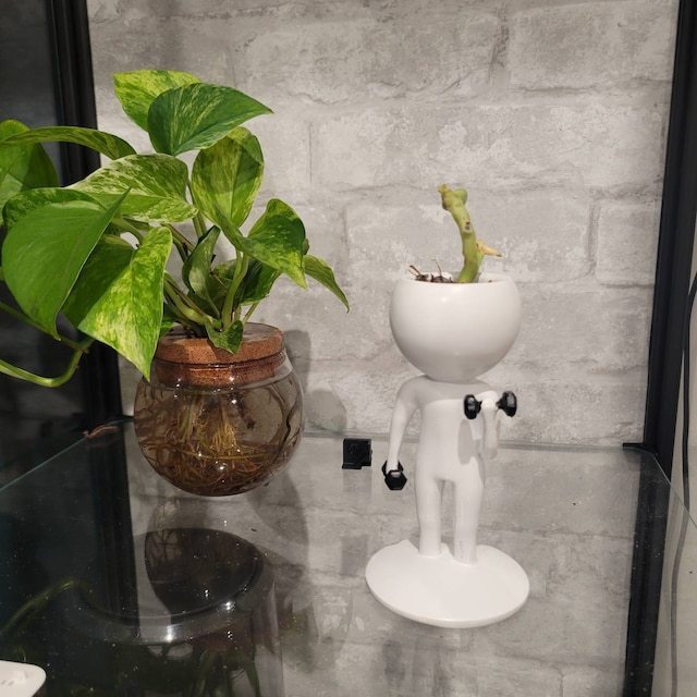 Fitness Villain Resin Plant Pot