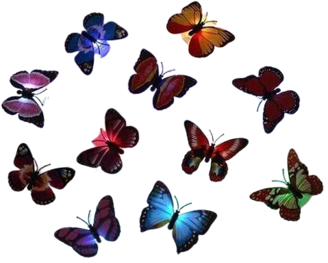 12-Pack Butterfly Night Lamp LED