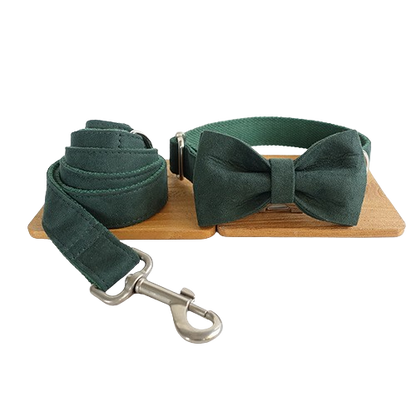 Stylish Pet Collar & Bow Tie With Leash