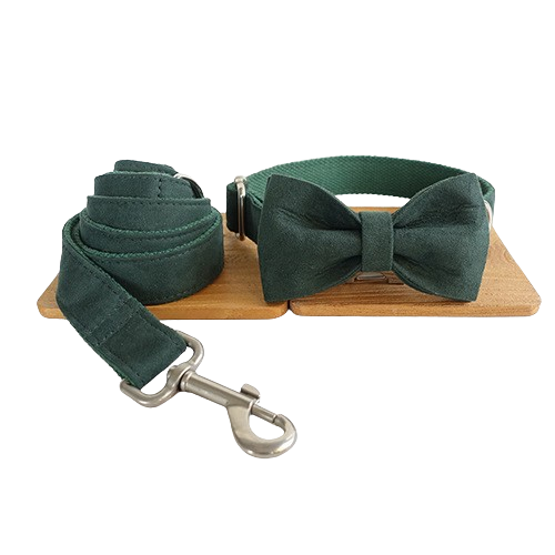 Stylish Pet Collar & Bow Tie With Leash