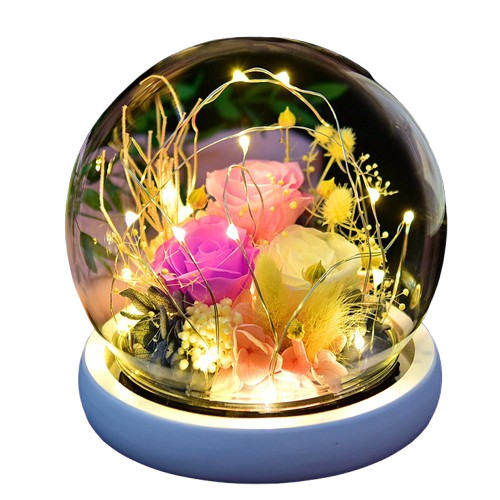 Preserved Flower Rose Gift