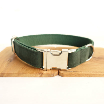 Stylish Pet Collar & Bow Tie With Leash